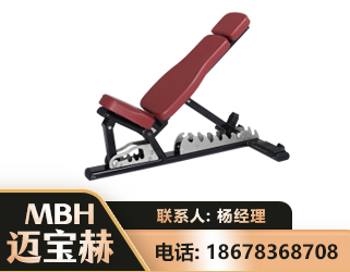贺州可调哑铃椅